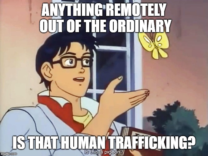 Confused anime guy | ANYTHING REMOTELY OUT OF THE ORDINARY; IS THAT HUMAN TRAFFICKING? | image tagged in confused anime guy | made w/ Imgflip meme maker