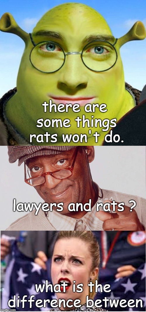 between the chemtrails,5g,public schooling and all the fake news it's getting that even a simple lawyer joke is dyslexic. | there are some things rats won't do. lawyers and rats ? what is the difference between | image tagged in smart shrek,bill cosby,this damn dyslexia,bi-polar meme | made w/ Imgflip meme maker