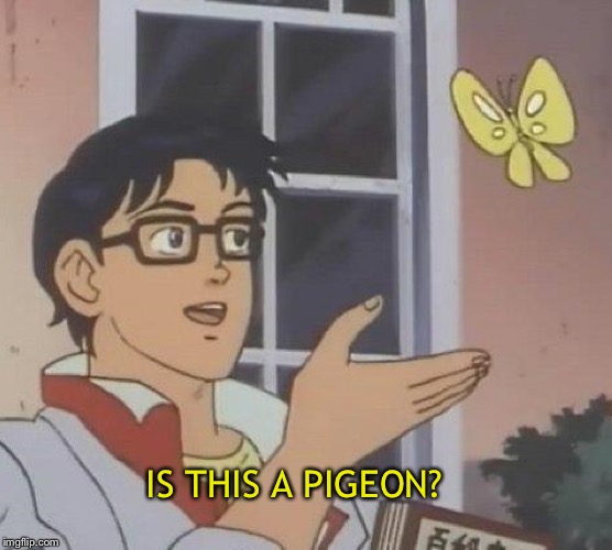 Is This A Pigeon | IS THIS A PIGEON? | image tagged in memes,is this a pigeon | made w/ Imgflip meme maker