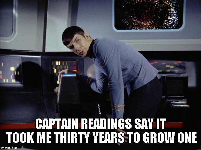 CAPTAIN READINGS SAY IT TOOK ME THIRTY YEARS TO GROW ONE | made w/ Imgflip meme maker