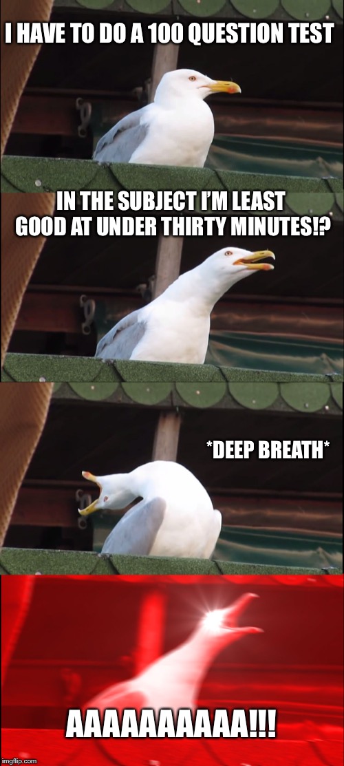 CAN’T... TAKE...THE PRESSURE!!! | I HAVE TO DO A 100 QUESTION TEST; IN THE SUBJECT I’M LEAST GOOD AT UNDER THIRTY MINUTES!? *DEEP BREATH*; AAAAAAAAAA!!! | image tagged in memes,inhaling seagull,funny memes,why | made w/ Imgflip meme maker