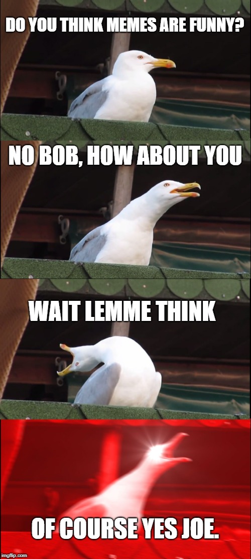 Inhaling Seagull | DO YOU THINK MEMES ARE FUNNY? NO BOB, HOW ABOUT YOU; WAIT LEMME THINK; OF COURSE YES JOE. | image tagged in memes,inhaling seagull | made w/ Imgflip meme maker