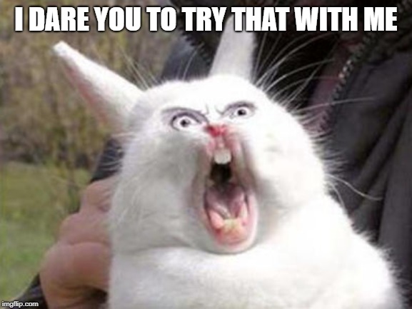 Angry Rabbit | I DARE YOU TO TRY THAT WITH ME | image tagged in angry rabbit | made w/ Imgflip meme maker
