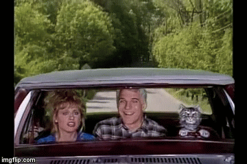 "I can't look away from this thread!!!!" | image tagged in gifs | made w/ Imgflip video-to-gif maker