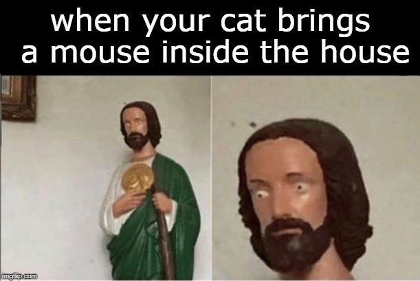 mine never bring in mice it's always baby birds X( | when your cat brings a mouse inside the house | image tagged in when you flush the toilet and the water starts rising,memes,cat,funny,mouse,house | made w/ Imgflip meme maker