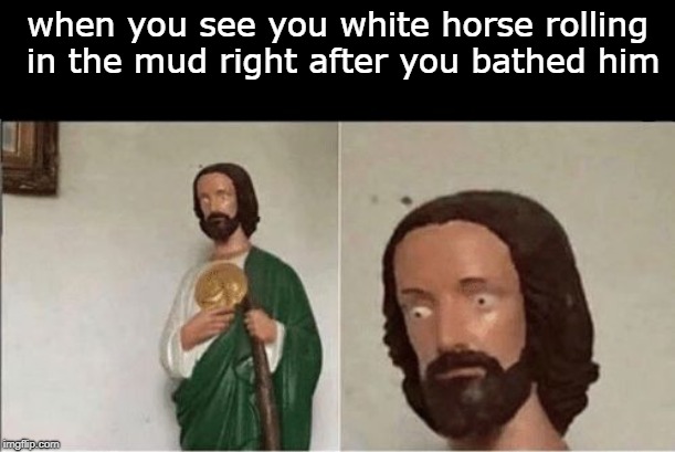 They literally have grass stains |  when you see you white horse rolling in the mud right after you bathed him | image tagged in when you flush the toilet and the water starts rising,memes,funny,white,horse,bath | made w/ Imgflip meme maker