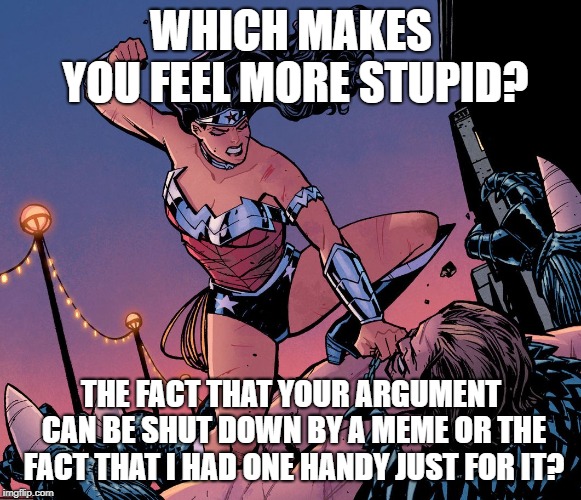 Wonder Woman beatdown | WHICH MAKES YOU FEEL MORE STUPID? THE FACT THAT YOUR ARGUMENT CAN BE SHUT DOWN BY A MEME OR THE FACT THAT I HAD ONE HANDY JUST FOR IT? | image tagged in wonder woman beatdown | made w/ Imgflip meme maker