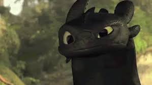 High Quality Confused toothless Blank Meme Template