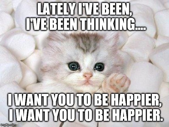 A cat named Marshmello? | LATELY I'VE BEEN, I'VE BEEN THINKING.... I WANT YOU TO BE HAPPIER, I WANT YOU TO BE HAPPIER. | image tagged in marshmallow cat | made w/ Imgflip meme maker