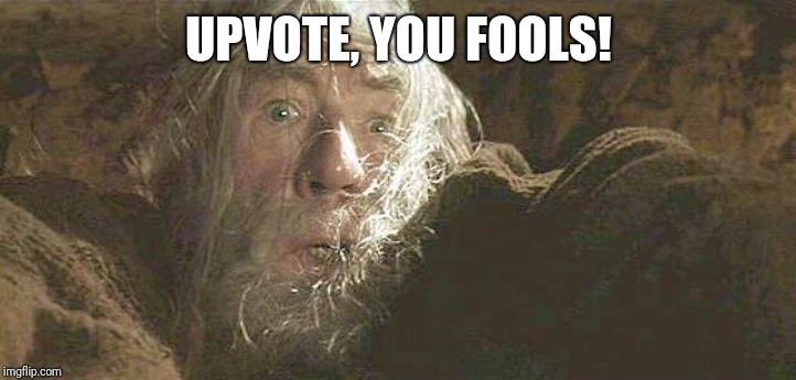 Gandalf Fly You Fools | UPVOTE, YOU FOOLS! | image tagged in gandalf fly you fools | made w/ Imgflip meme maker