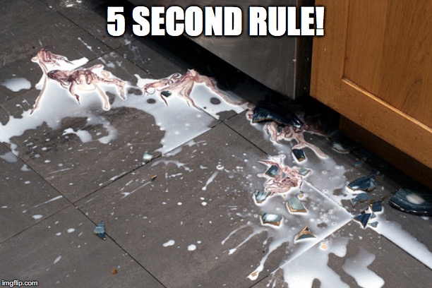 5 Second Rule! | 5 SECOND RULE! | image tagged in cat,cats,funny,food,memes,fun | made w/ Imgflip meme maker