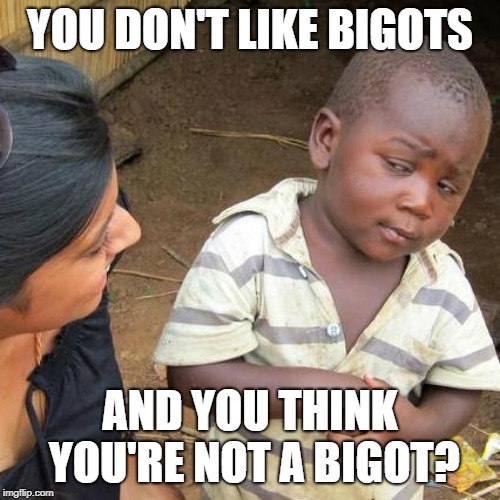 Third World Skeptical Kid | YOU DON'T LIKE BIGOTS; AND YOU THINK YOU'RE NOT A BIGOT? | image tagged in memes,third world skeptical kid | made w/ Imgflip meme maker