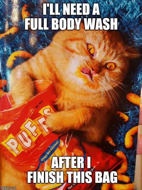 Cat eating Cheetos | I'LL NEED A FULL BODY WASH AFTER I FINISH THIS BAG | image tagged in cat eating cheetos | made w/ Imgflip meme maker