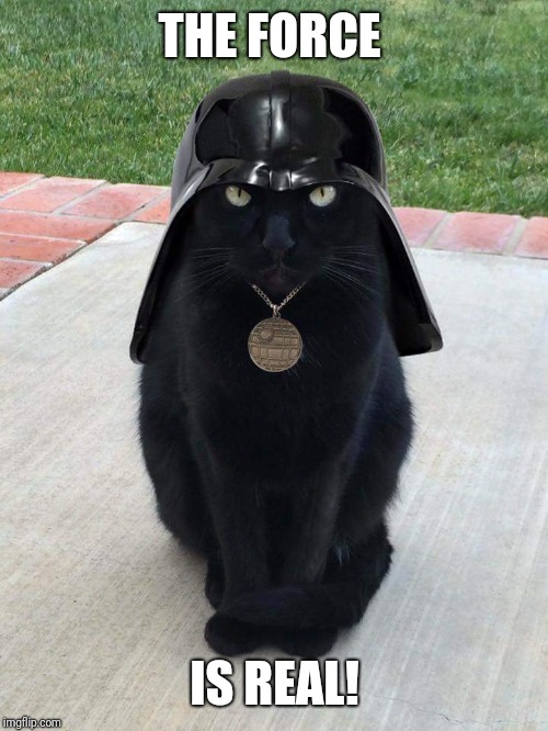 Darth vader cat | THE FORCE IS REAL! | image tagged in darth vader cat | made w/ Imgflip meme maker