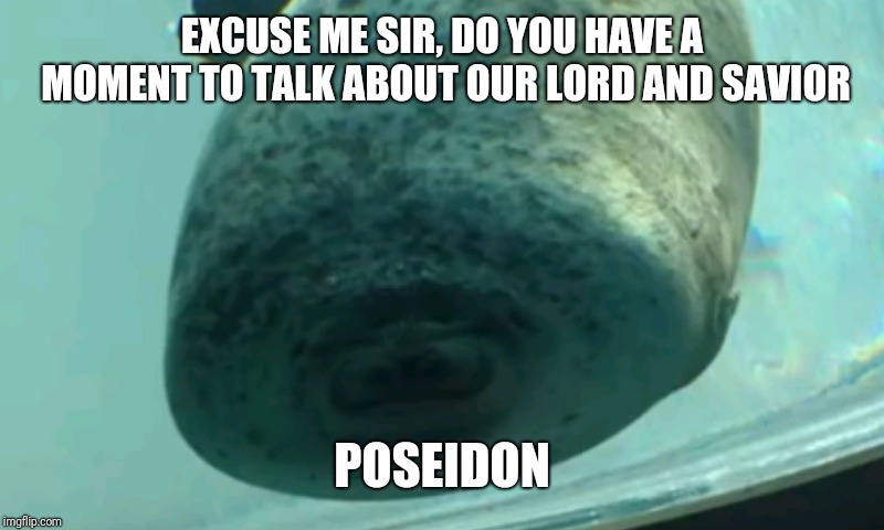 Squishy Seal | EXCUSE ME SIR, DO YOU HAVE A MOMENT TO TALK ABOUT OUR LORD AND SAVIOR; POSEIDON | image tagged in squishy seal | made w/ Imgflip meme maker