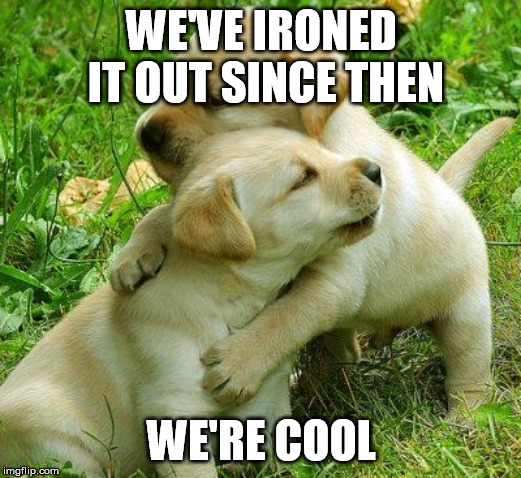 Puppy I love bro | WE'VE IRONED IT OUT SINCE THEN WE'RE COOL | image tagged in puppy i love bro | made w/ Imgflip meme maker
