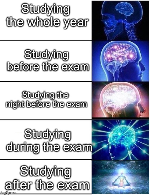 When? | Studying the whole year; Studying before the exam; Studying the night before the exam; Studying during the exam; Studying after the exam | image tagged in expanding brain 5 panel | made w/ Imgflip meme maker