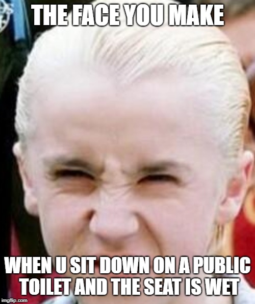 Ah its wet | THE FACE YOU MAKE; WHEN U SIT DOWN ON A PUBLIC TOILET AND THE SEAT IS WET | image tagged in the face you make,draco malfoy | made w/ Imgflip meme maker
