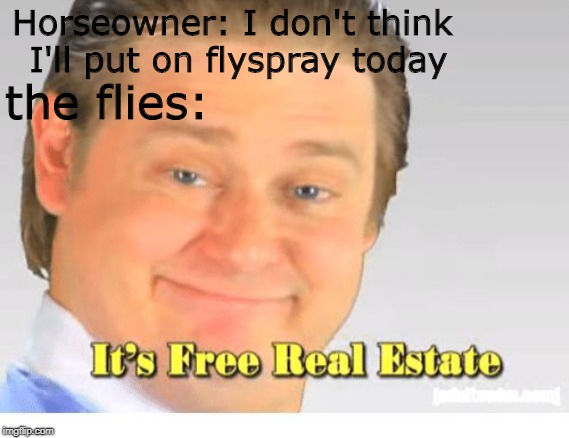 A horsefly once took off a chunk of my leg | Horseowner: I don't think I'll put on flyspray today; the flies: | image tagged in it's free real estate,flies,memes,funny,horse,its free real estate | made w/ Imgflip meme maker