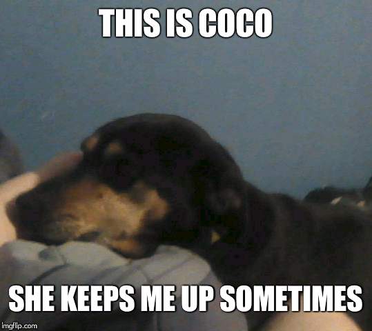 THIS IS COCO; SHE KEEPS ME UP SOMETIMES | made w/ Imgflip meme maker