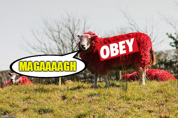 MAGAAAAGH | image tagged in alt right,donald trump | made w/ Imgflip meme maker