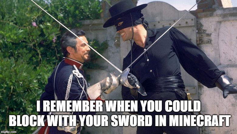 I REMEMBER WHEN YOU COULD BLOCK WITH YOUR SWORD IN MINECRAFT | image tagged in minecraft,sword | made w/ Imgflip meme maker