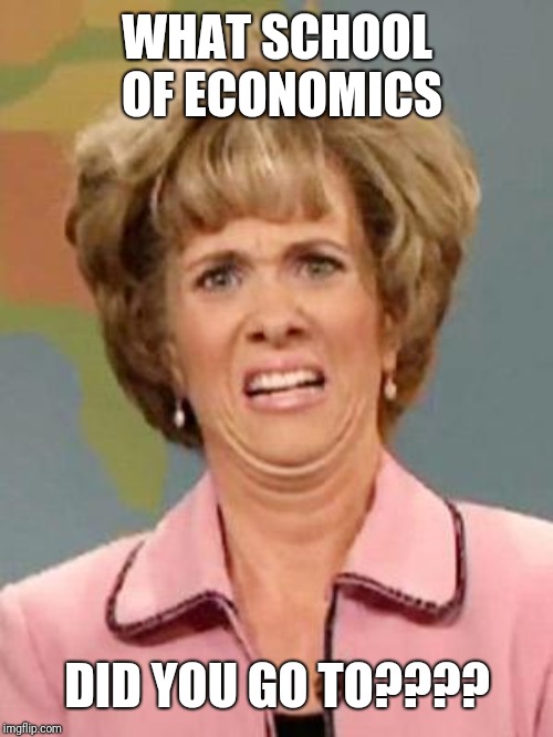 Grossed Out | WHAT SCHOOL OF ECONOMICS DID YOU GO TO???? | image tagged in grossed out | made w/ Imgflip meme maker