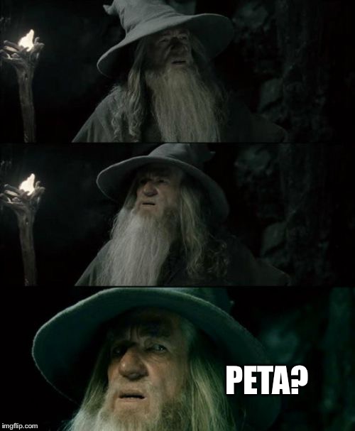 Confused Gandalf Meme | PETA? | image tagged in memes,confused gandalf,AdviceAnimals | made w/ Imgflip meme maker