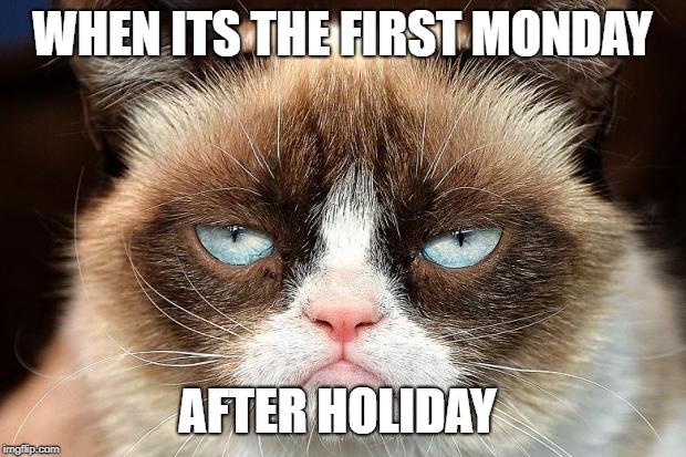 Grumpy Cat Not Amused Meme | WHEN ITS THE FIRST MONDAY; AFTER HOLIDAY | image tagged in memes,grumpy cat not amused,grumpy cat | made w/ Imgflip meme maker