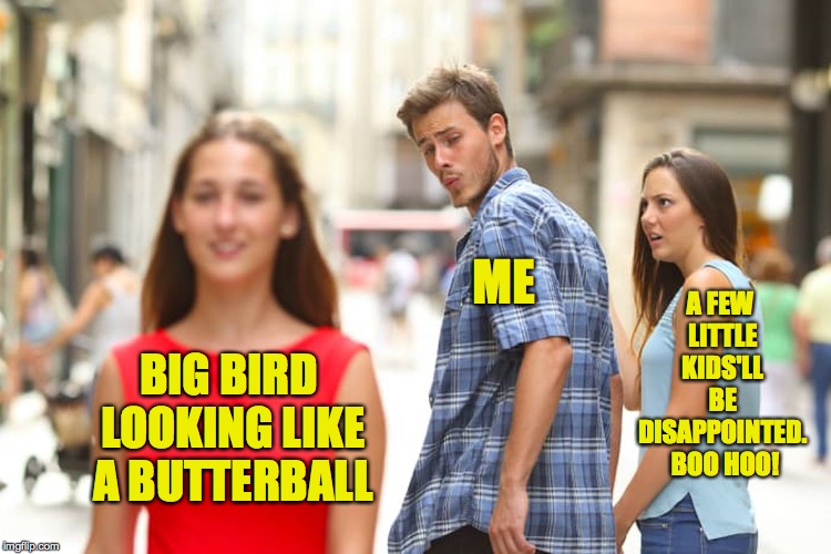 Distracted Boyfriend Meme | BIG BIRD LOOKING LIKE A BUTTERBALL ME A FEW LITTLE KIDS'LL BE DISAPPOINTED.  BOO HOO! | image tagged in memes,distracted boyfriend | made w/ Imgflip meme maker