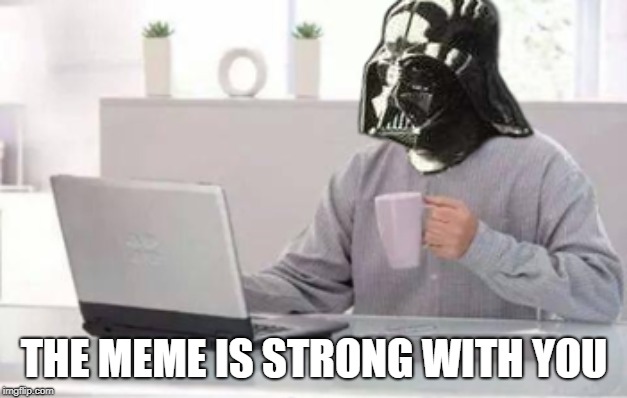 hide the pain vader | THE MEME IS STRONG WITH YOU | image tagged in hide the pain vader | made w/ Imgflip meme maker