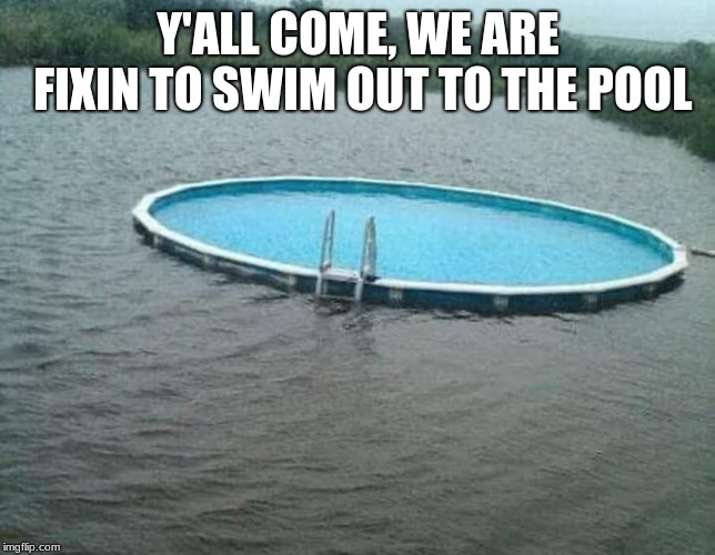 Relax, go for a swim. | Y'ALL COME, WE ARE FIXIN TO SWIM OUT TO THE POOL | image tagged in flooded pool | made w/ Imgflip meme maker