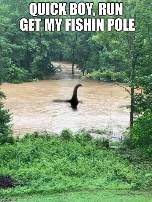 Always carry your fishing pole when you go down to the creek.  | QUICK BOY, RUN GET MY FISHIN POLE | image tagged in nessie creek,go fishing | made w/ Imgflip meme maker