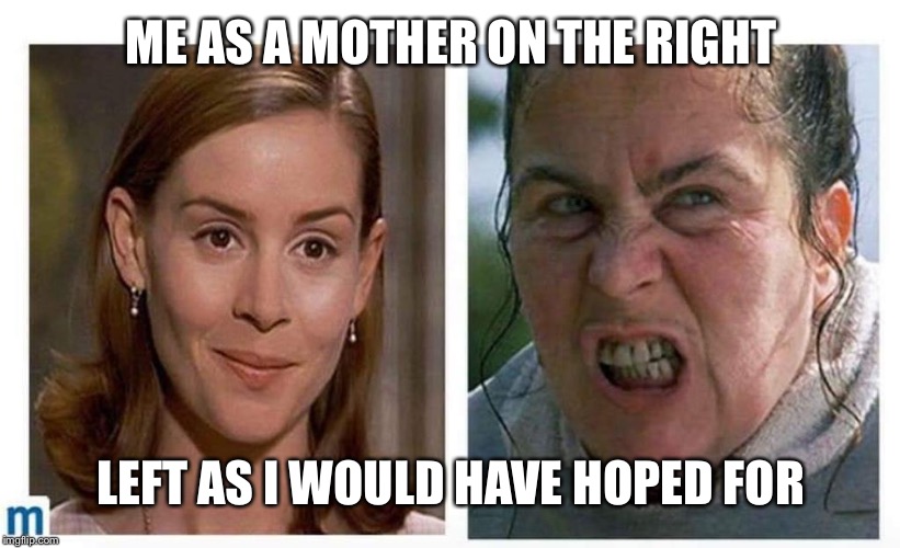 ME AS A MOTHER ON THE RIGHT; LEFT AS I WOULD HAVE HOPED FOR | image tagged in mother image | made w/ Imgflip meme maker