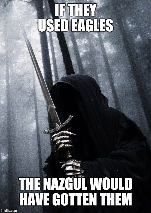 Nazgul | IF THEY USED EAGLES THE NAZGUL WOULD HAVE GOTTEN THEM | image tagged in nazgul | made w/ Imgflip meme maker