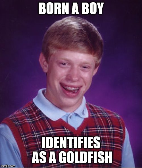 Bad Luck Goldfish | BORN A BOY; IDENTIFIES AS A GOLDFISH | image tagged in memes,bad luck brian,gender,boy | made w/ Imgflip meme maker