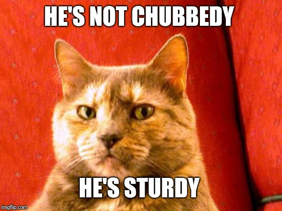 Suspicious Cat Meme | HE'S NOT CHUBBEDY HE'S STURDY | image tagged in memes,suspicious cat | made w/ Imgflip meme maker