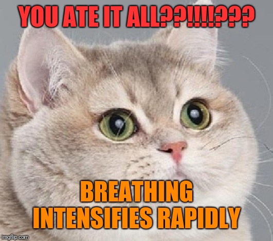 breathing intensifies | YOU ATE IT ALL??!!!!??? BREATHING INTENSIFIES RAPIDLY | image tagged in breathing intensifies | made w/ Imgflip meme maker