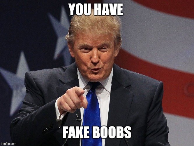 Trump immigration policy | YOU HAVE; FAKE BOOBS | image tagged in trump immigration policy | made w/ Imgflip meme maker
