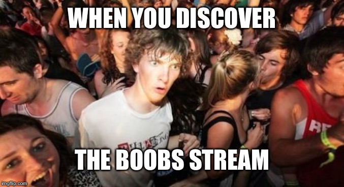 Sudden Clarity Clarence Meme | WHEN YOU DISCOVER; THE BOOBS STREAM | image tagged in memes,sudden clarity clarence | made w/ Imgflip meme maker