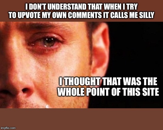 1st rate imgflip problems | I DON’T UNDERSTAND THAT WHEN I TRY TO UPVOTE MY OWN COMMENTS IT CALLS ME SILLY; I THOUGHT THAT WAS THE WHOLE POINT OF THIS SITE | image tagged in 1st rate imgflip problems | made w/ Imgflip meme maker