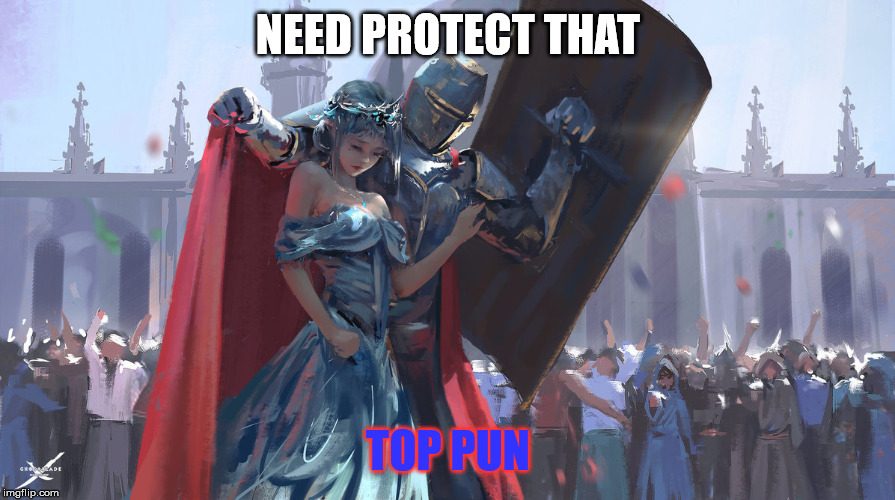 Knight Protecting Princess | NEED PROTECT THAT TOP PUN | image tagged in knight protecting princess | made w/ Imgflip meme maker