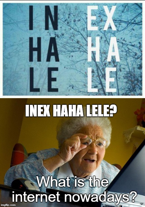 INEX HAHA LELE? What is the internet nowadays? | image tagged in memes,grandma finds the internet | made w/ Imgflip meme maker