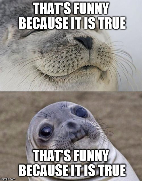 Short Satisfaction VS Truth Meme | THAT'S FUNNY BECAUSE IT IS TRUE THAT'S FUNNY BECAUSE IT IS TRUE | image tagged in memes,short satisfaction vs truth | made w/ Imgflip meme maker