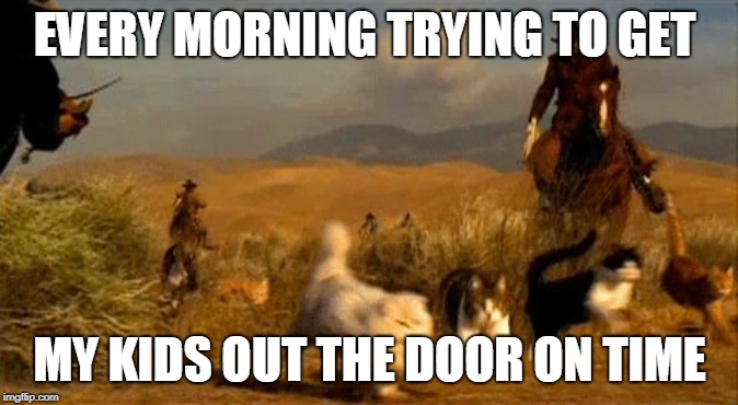 herding cats | EVERY MORNING TRYING TO GET; MY KIDS OUT THE DOOR ON TIME | image tagged in herding cats | made w/ Imgflip meme maker