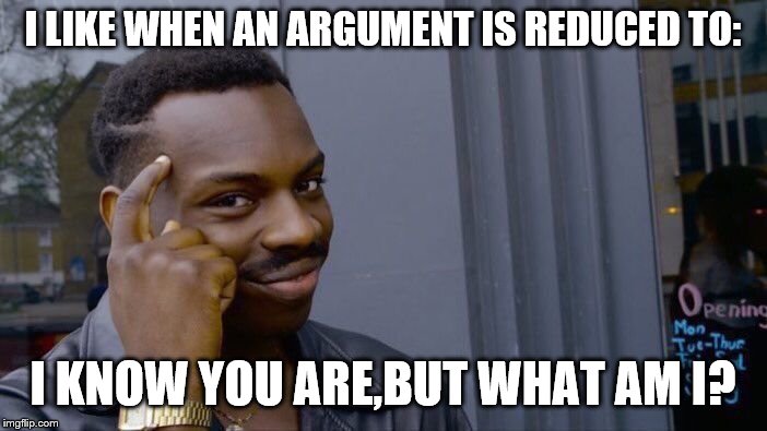 Roll Safe Think About It Meme | I LIKE WHEN AN ARGUMENT IS REDUCED TO: I KNOW YOU ARE,BUT WHAT AM I? | image tagged in memes,roll safe think about it | made w/ Imgflip meme maker