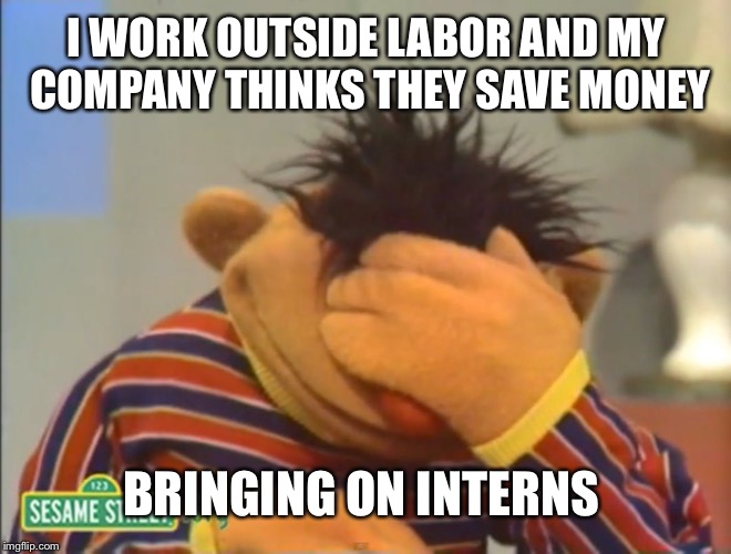Face palm Ernie  | I WORK OUTSIDE LABOR AND MY COMPANY THINKS THEY SAVE MONEY BRINGING ON INTERNS | image tagged in face palm ernie | made w/ Imgflip meme maker