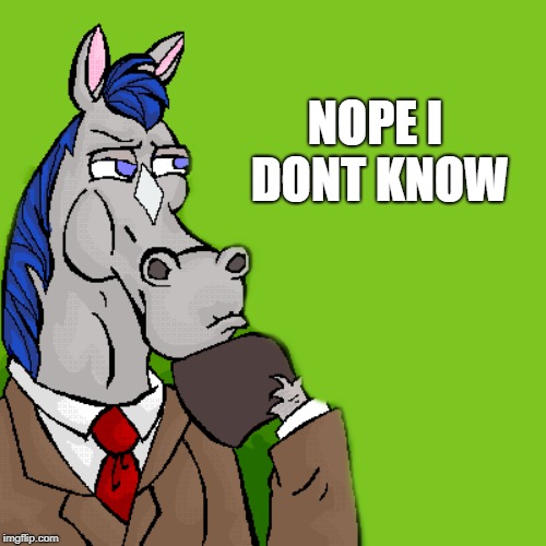 horse | NOPE I DONT KNOW | image tagged in horse | made w/ Imgflip meme maker
