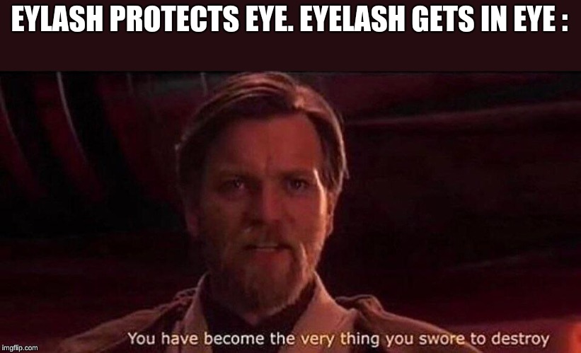 You've become the very thing you swore to destroy | EYLASH PROTECTS EYE. EYELASH GETS IN EYE
: | image tagged in you've become the very thing you swore to destroy | made w/ Imgflip meme maker