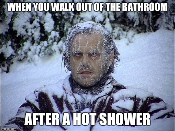 brrrrrr | WHEN YOU WALK OUT OF THE BATHROOM; AFTER A HOT SHOWER | image tagged in frozen | made w/ Imgflip meme maker